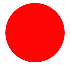 Interactive Learning Materials