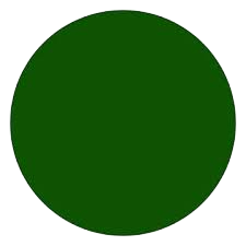 Teacher Training and Progress
